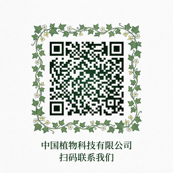 精神小妹商务合作二维码 wqwcndjb.cn